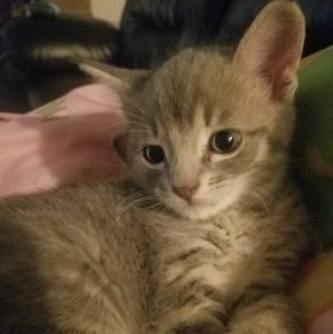 Meet your Posher, Jayme